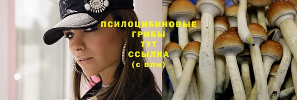 сатива Верея