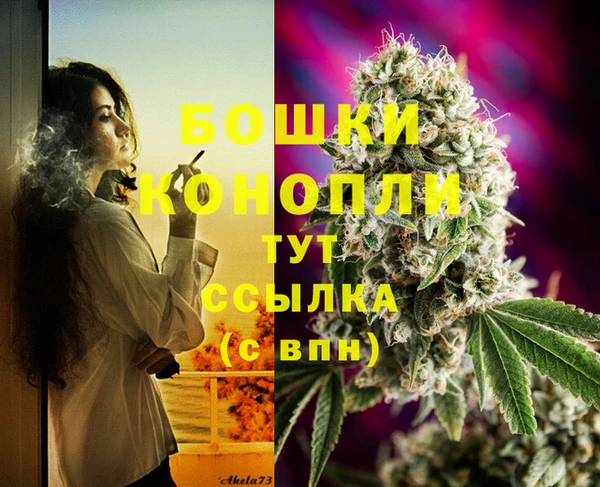 сатива Верея