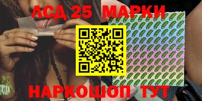 скорость Бердск