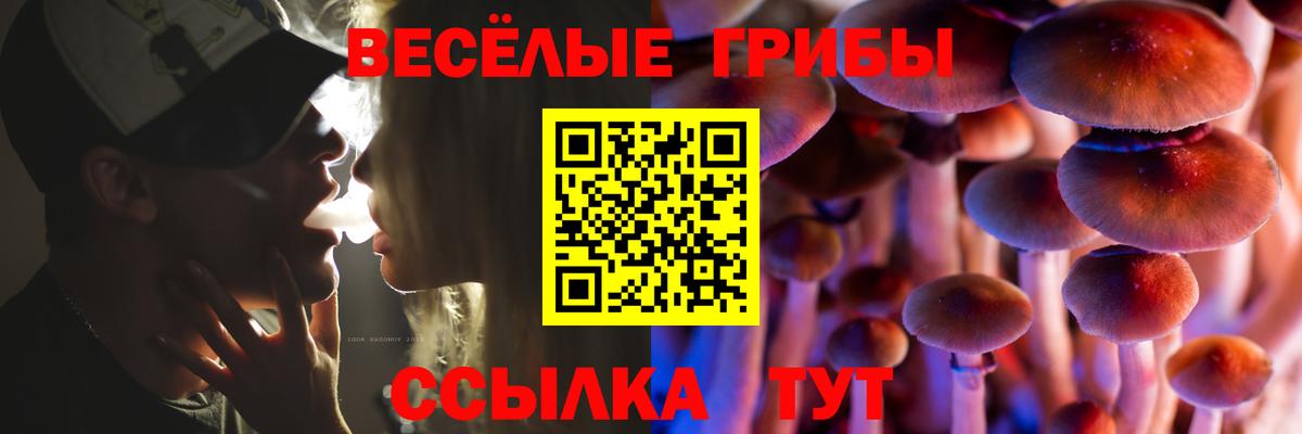 Вичуга  Псилоцибиновые грибы мицелий  Вход с VPN 